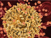 Phát hiện biến thể virus HIV mới dễ lây lan và nguy hiểm hơn